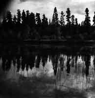 John Szarkowski (American 1925-2007). Basswood Lake, Minnesota, 1959. Gelatin silver print, 26,4 × 34 cm.