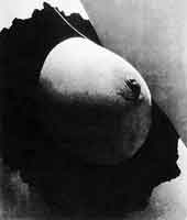 Rémy Duval (French, 1901-1984). Photograph of a breast surrounded by a velvet collar, used in the fabrication of Duchamp and Donati΄s Priere de loucher (Please Touch), c. 1947.