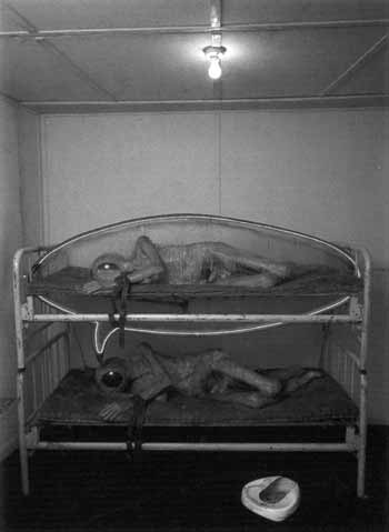 Edward Kienholz. The State Hospital, 1966. Mixed media, 245 × 360 × 295 cm.