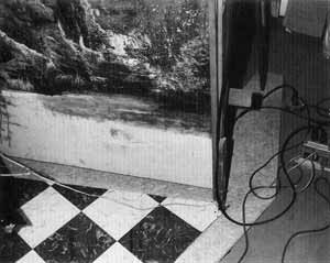 The installation of Étant donnés at the Philadelphia Museum of Art, 196. 9The landscape backdrop and linoleum with wires.